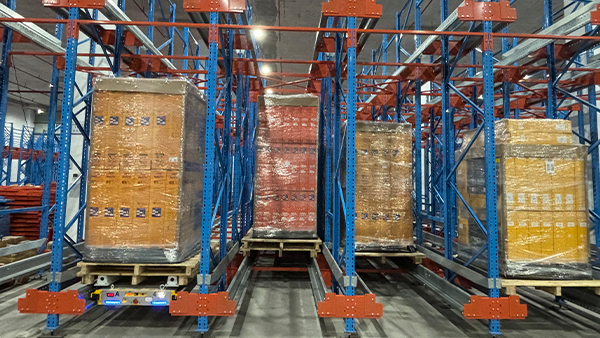 Two-way shuttle vehicle-specific shelves