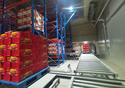 New Supply and Marketing (Guangdong)