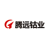 腾远钴业.png